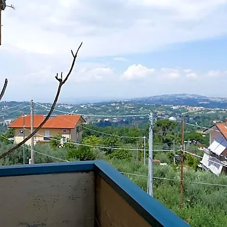 L'ulivo 3*