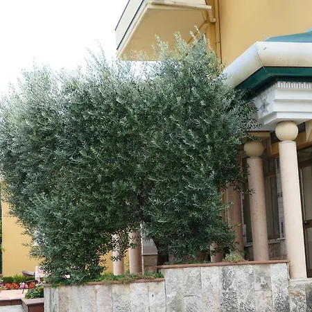 Hotel L'ulivo 3*